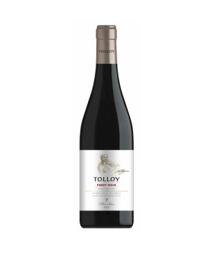Tolloy Pinot Nero 2018 - 
