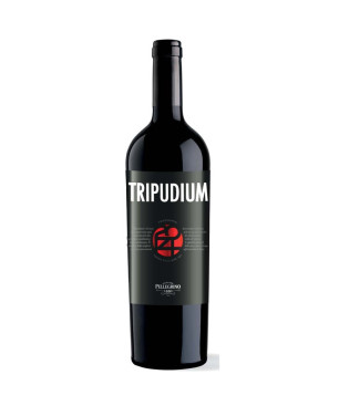 Pellegrino Tripudium 2015 - 