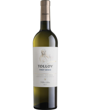 Tolloy Pinot Grigio - 