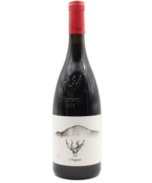 Salvo Foti I vigneri 2025
