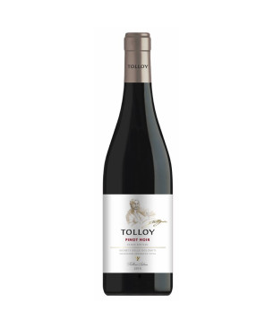 Tolloy Pinot Nero 2024