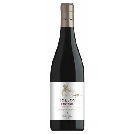 Tolloy Pinot Nero 2021