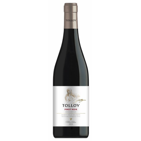 Tolloy Pinot Nero 2024