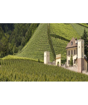 Hofstatter Barthenau Vigna S. San Michele Pinot Bianco 2020 - 