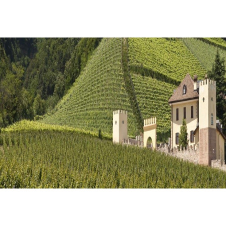 Hofstatter Lagrein Rosè 2024