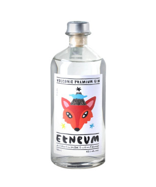 Etneum Volcanic Premium Gin - 