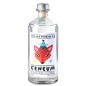 Etneum Volcanic Premium Gin