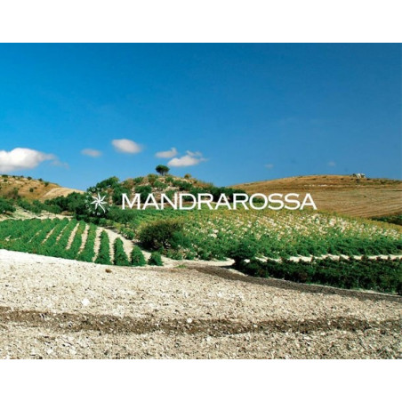 Mandrarossa Sentiero delle Gerle Etna bianco 2020