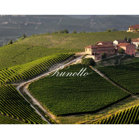 Prunotto Mompertone Monferrato 2024