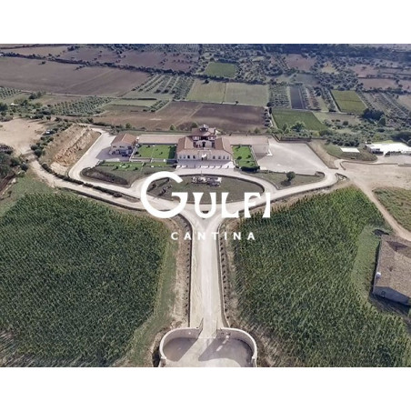 Gulfi Carjcanti 2021