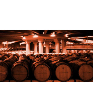 Bellavista Satén Franciacorta 2016