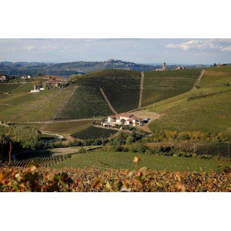 Marchesi di Gresy Martinenga Barbaresco Docg 2017