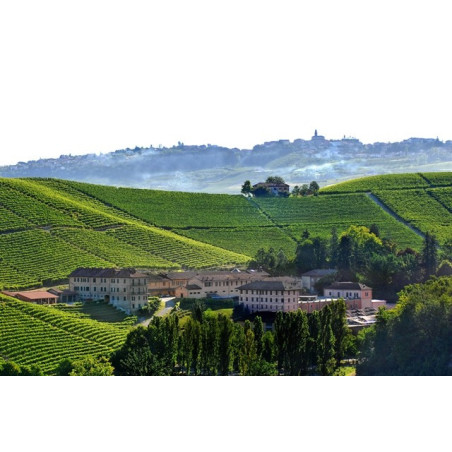 Fontanafredda Barbaresco Coste Rubin 2018