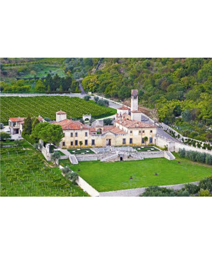Villa della Torre Valpolicella Classico Superiore 2019 - 