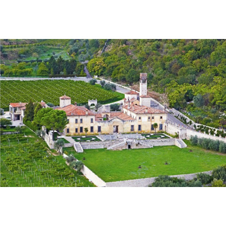 Villa della Torre Valpolicella Classico Superiore 2019