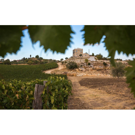 Lombardo Grillo d'Altura 2025