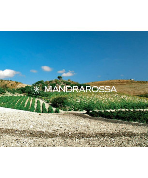 copy of Mandrarossa Sentiero delle Gerle Etna Rosso 2018