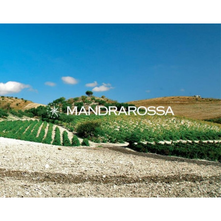 copy of Mandrarossa Sentiero delle Gerle Etna Rosso 2018