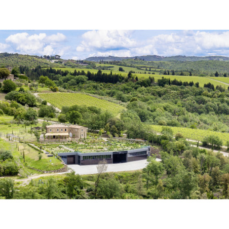 Frescobaldi Tenuta Luce "Luce" 2020