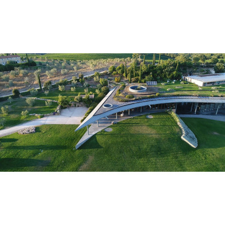 Frescobaldi Giramonte 2020