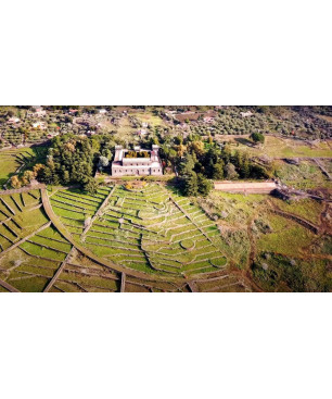 Castello Solicchiata 2015