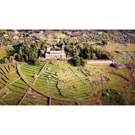 Castello Solicchiata 2015