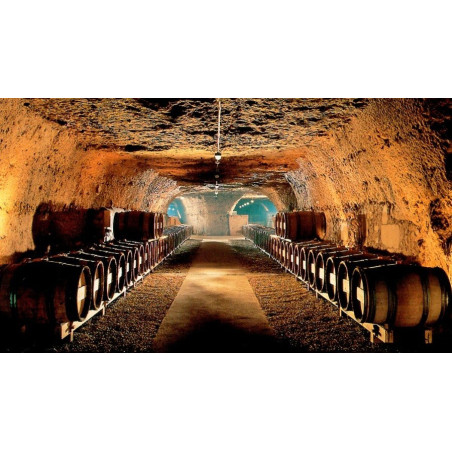 Bredif Royal Oyster Muscadet 2023