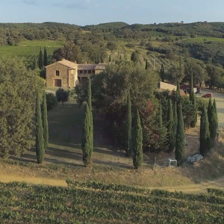 Casisano Rosso di Montalcino