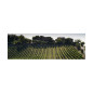 Ruffino Modus 2019