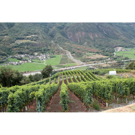 La Crotta di Vegneron Chambave Rouge 2022