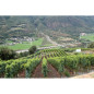 La Crotta di Vegneron Chambave Rouge 2022