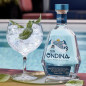 Gin Ondina
