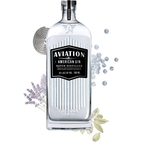 Gin Aviation