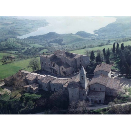 Tenuta di Salviano Grechetto 2022