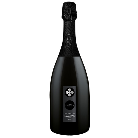 Casere Terra Vizina Brut