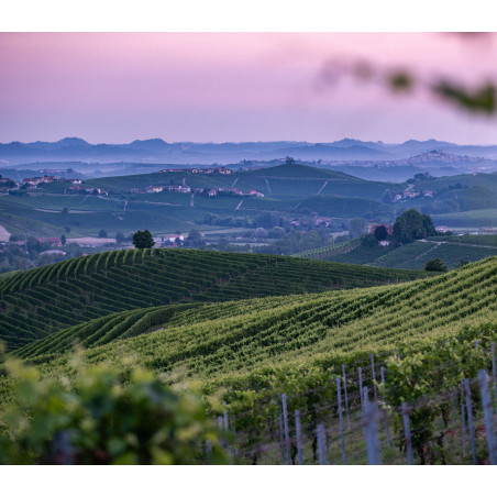 Prunotto Bansella Nizza 2023