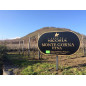 Nicosia Fondo Filara Etna Bianco Contrada Monte Gorna DOC 2019