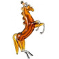 Bonollo Il Cavallo