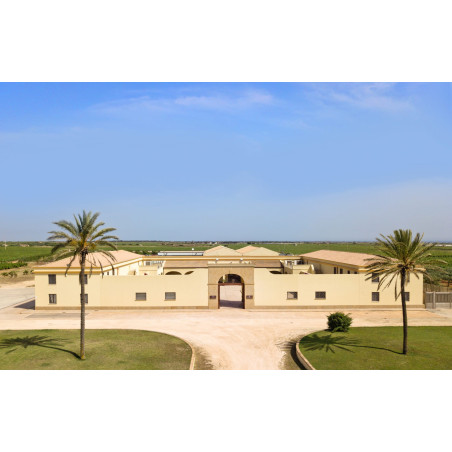 Gorghi Tondi Grillodoro