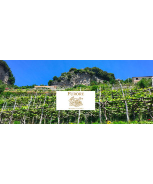 Marisa Cuomo Furore Rosso Doc 2024