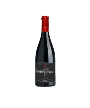Terrazze del Vulcano Pinot Nero 2016