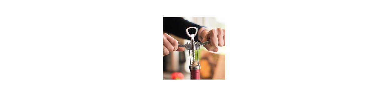 Online Selling of Wine Accessories
