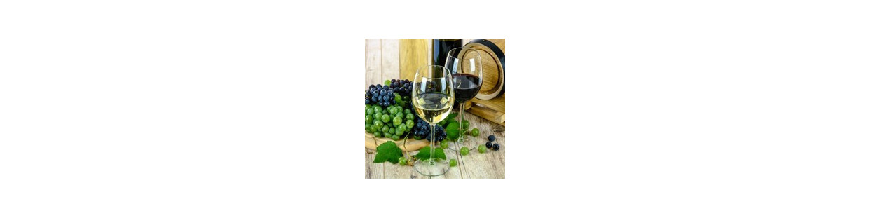 Acquista online  i grandi vini internazionali su Fresco di Vigna