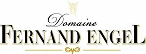 Prodotti Engel in vendita online